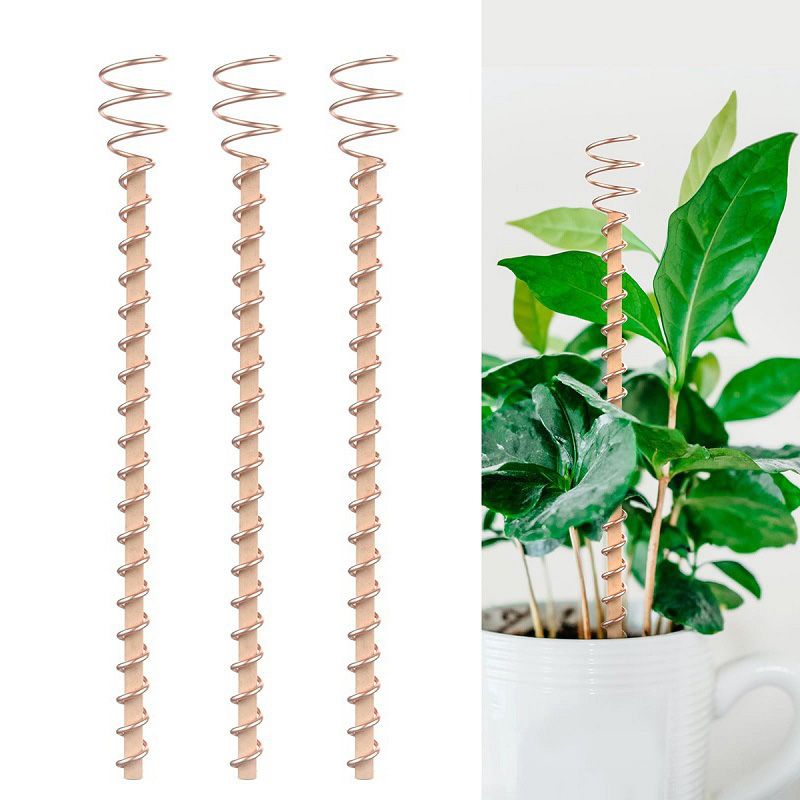📢📢50% OFF !! ⏰Plant Support Frame