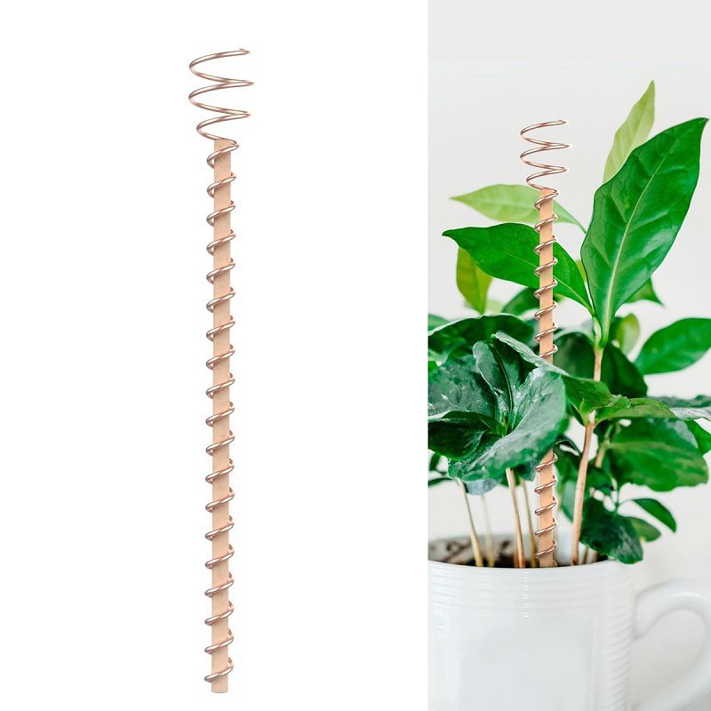📢📢50% OFF !! ⏰Plant Support Frame