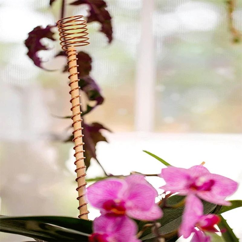 📢📢50% OFF !! ⏰Plant Support Frame