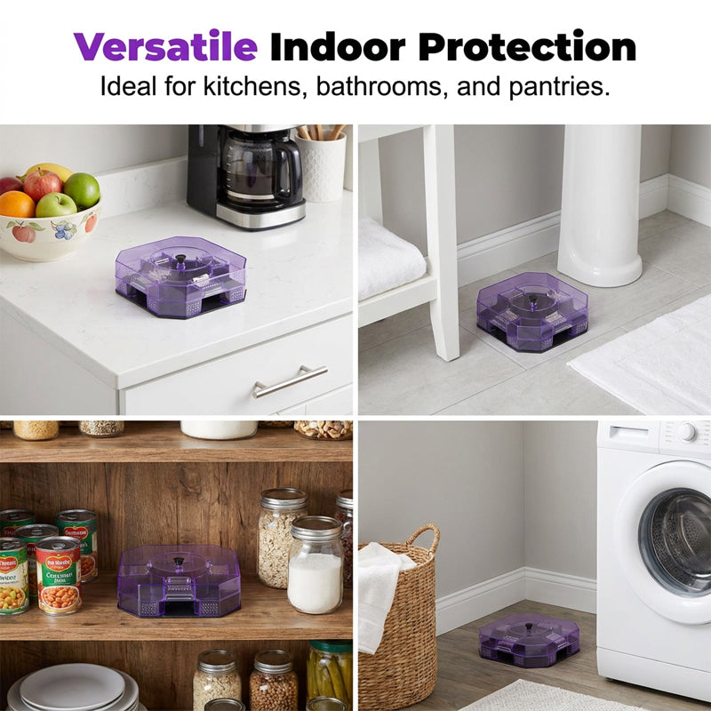 🪳 50% off!  ♻️ Reusable cockroach trap – physical capture, no toxic spray required