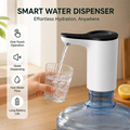 Electric Water Dispenser Pump