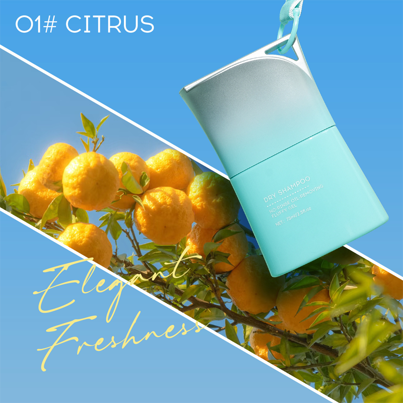 ⏰ 50% OFF🧴 No-Rinse Dry Shampoo Gel with Built-In Comb – Fresh Hair in 2 Minutes, No Water Needed!  💁‍♀️