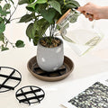 🎉 2026 Sale — Over 31,000 Sold! 🌱 Lift Your Plants, Save Their Roots – Clean Floors, Healthier Greens! 🏠